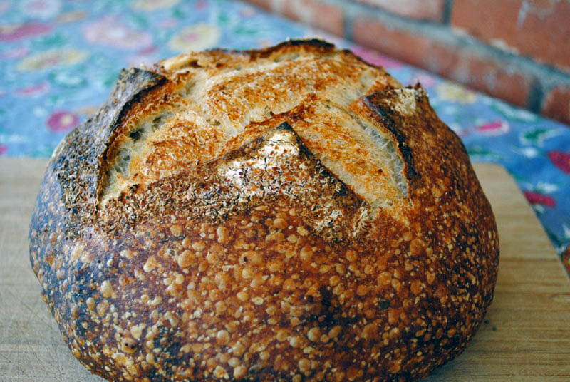 food Snazzy Institute The Fresh Loaf Forum | Bewitching Kitchen