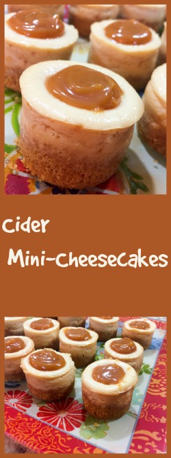 cider-mini-cheesecakes-from-bewitching-kitchen